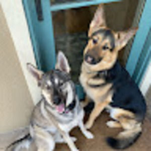 Meet your Posher, Andy